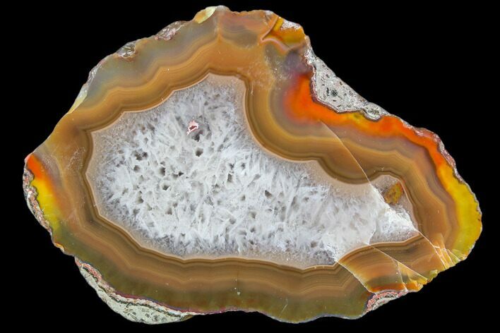 Beautiful Condor Agate From Argentina - Cut/Polished Face #79507